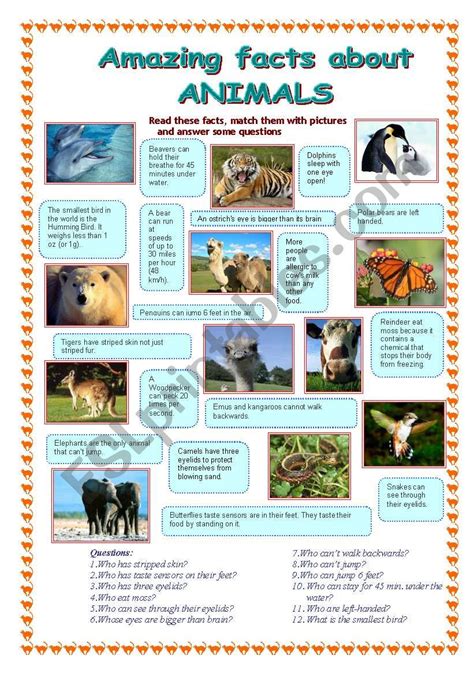 Amazing Facts About Animals 1 Part Esl Worksheet By Makol