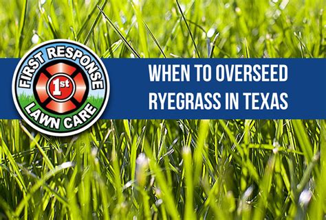 When To Overseed Ryegrass In Texas Millikens Irrigation And Lawn