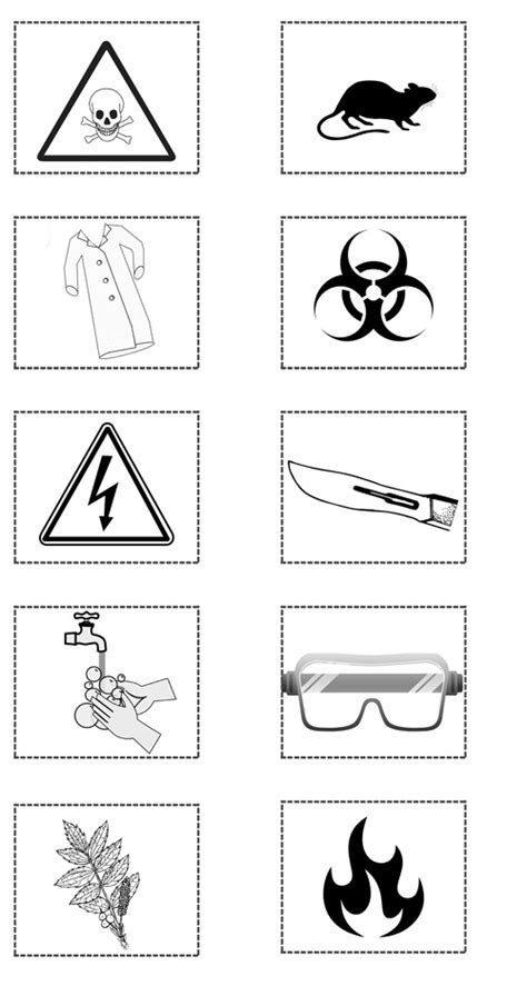 10 Most Common Lab Safety Symbols Life In The Middle Of Science