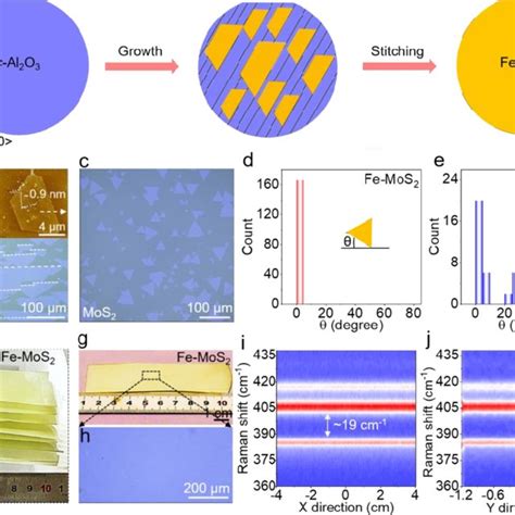 The Epitaxial Growth Mechanism Of Unidirectionally Aligned Fe Mos2 On