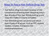 Photos of Hair Follicle Drug Test Marijuana