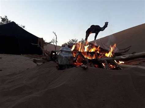 Morocco sahara desert is most visited place in private morocco tour. Merzouga desert tours | Camel Trek Morocco