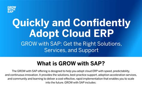 Grow With Sap Infographic Leverage Technologies