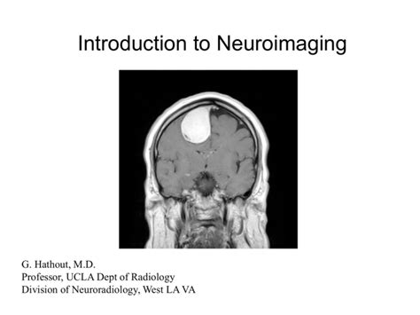 B5w3lab2neuroimaging Lab Basics And Brainstem