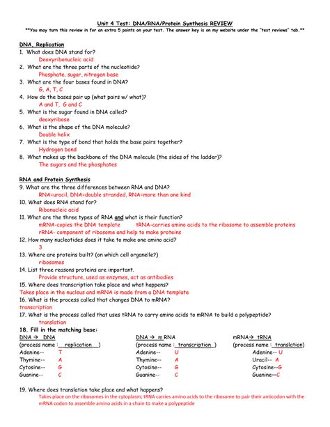In the rna and protein synthesis gizmo™, you will use both dna and rna to. 29 Rna And Protein Synthesis Gizmo Worksheet Answers ...