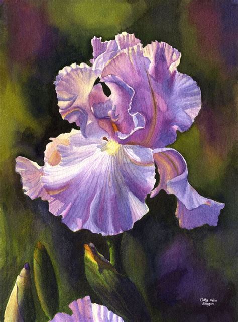 Purple Iris Art Watercolor Painting Print By Cathy Hillegas 11x14