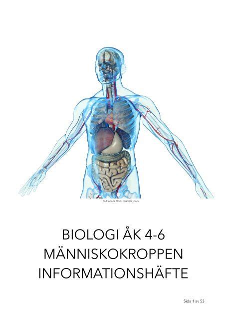 Biologi Åk 4 6 MÄnniskokroppen InformationshÄfte