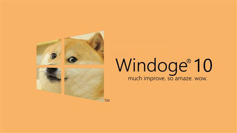 Doge Microsoft Windows 1080p Memes Windows 10 Dog Hd Wallpaper