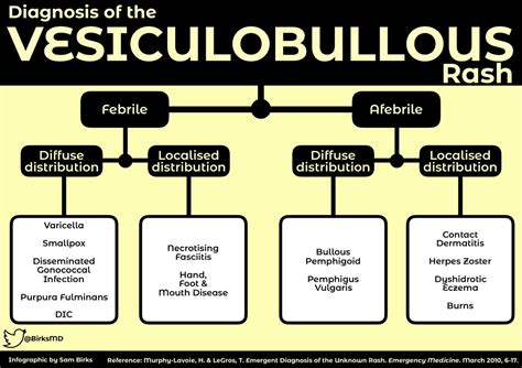 Algorithm For Diagnosis Of The Vesiculobullous Rash Febrile Grepmed