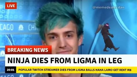 Ninja Dies From Ligma Youtube