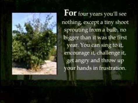 Inspiring Secrets About Persistence & Success -Bamboo Tree - YouTube
