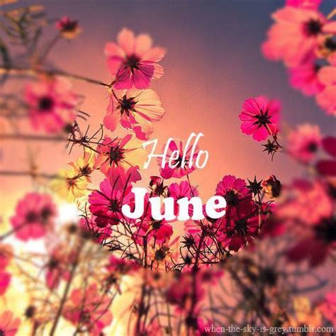 Find out everything coming to the streaming service for the month of june. Always Dolled Up: June: New Month, New Things to Look ...