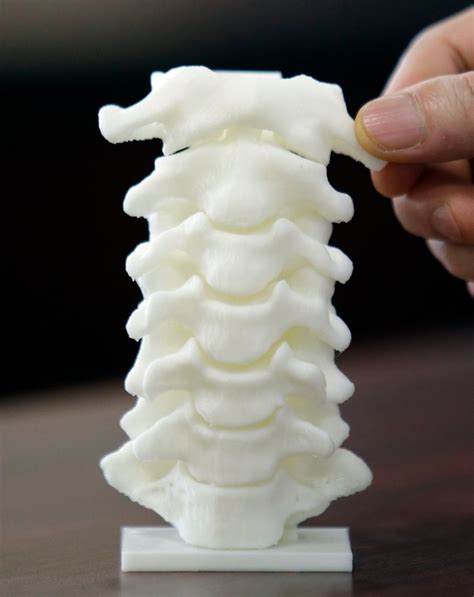 3d Printed Spine Mirror Online