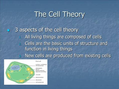 Ppt Cell Theory Powerpoint Presentation Free Download Id5744107