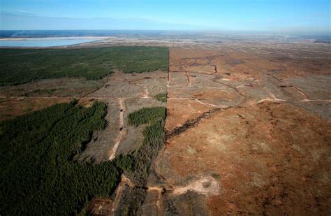 Tar Sands Extraction In Northern Alberta Deforestation Boreal Forest