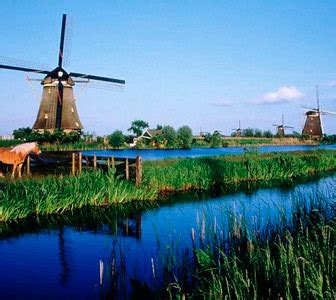 Traducción web al neerlandés y SEO en Holanda o Bélgica - Tradupla