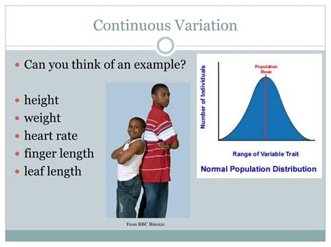 PPT - 5.5 Variation and Evolution PowerPoint Presentation, free ...