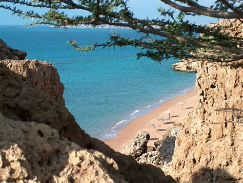 Multiple theories exist as to the origin of the lemma, including derivation from afar gabouti (plate) or gabood (plateau). Quelle est la capitale de Djibouti ? [Culture Générale ...