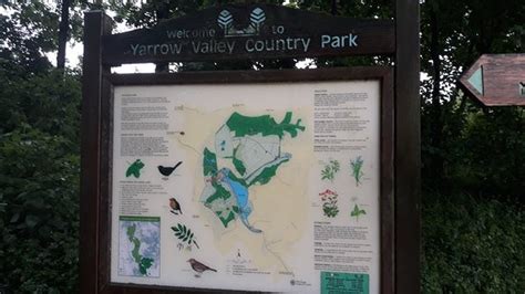 Yarrow Valley Country Park Chorley 2020 All You Need To Know Before
