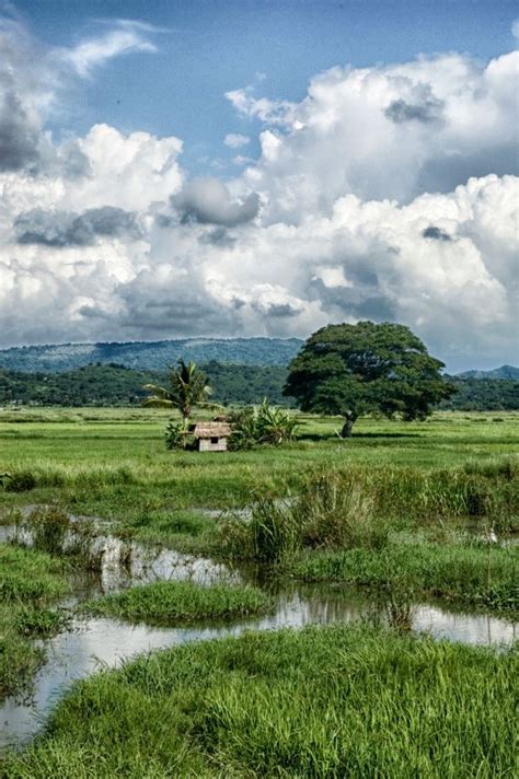 Free Images Landscape Water Nature Forest Field Lawn Meadow