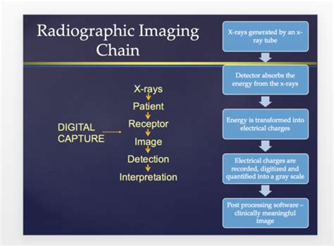 Digital Radiography In Dentistry Flashcards Quizlet