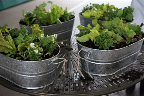 The Four Best Containers For Growing A Salad Garden In A Small Space