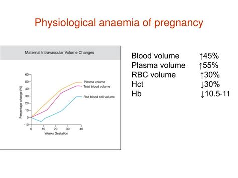 Ppt Anaemia In Pregnancy Powerpoint Presentation Free Download Id