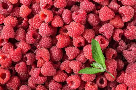 Food Raspberry Berry Fruit Hd Wallpaper Peakpx
