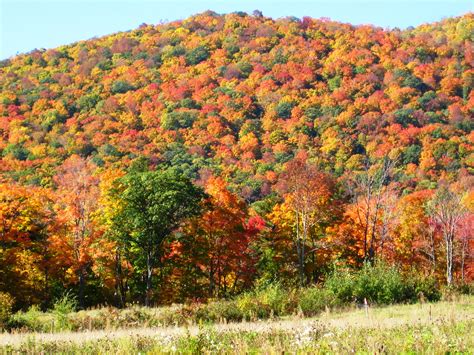 New Affordable Fall Foliage Hiking and Kayaking Vacations at 
