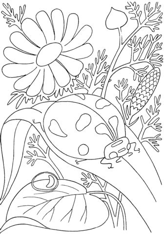In this site you will find a lot of spring colouring pictures in many kind of pictures. Ladybird Among Flowers coloring page | SuperColoring.com