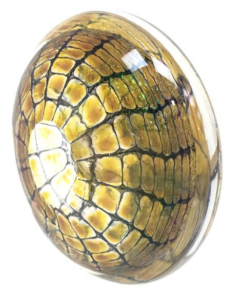 Lot Tom Philabaum Iridescent Art Glass Paperweight