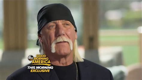 Hulk Hogan Wants To Take Gawkers Nick Denton Into The