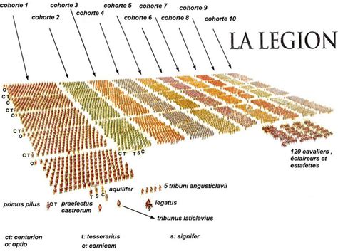 Composition And Hierarchy The Roman Legion HistÒria Legione Romana