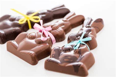 Chocolate Bunnies Stock Photo Image Of Small Decor 38799668