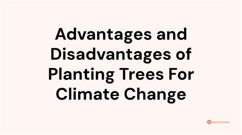 Advantages And Disadvantages Of Planting Trees For Climate Change