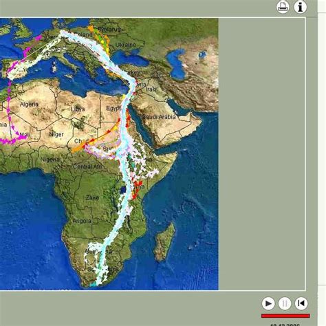 White Stork Migration As Tracked By Satellite Download Scientific