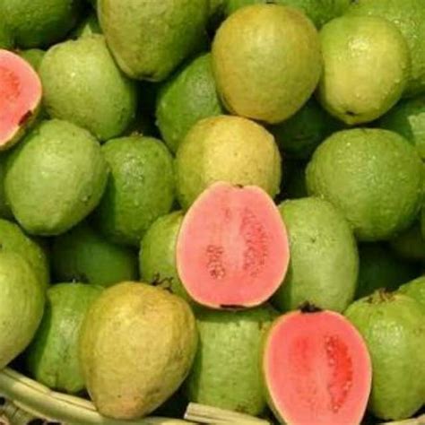 Jual Buah Jambu Merah Jambu Kristal Jambu Air Jambu Mete Indonesia Shopee Indonesia