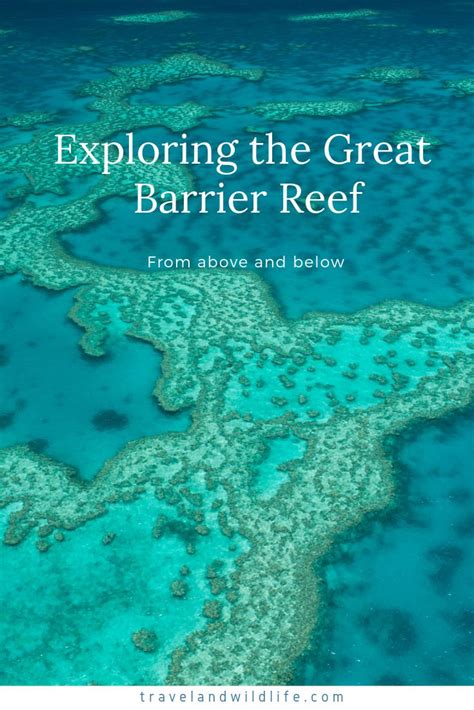 The Great Barrier Reef Is One Of Australias Most Visited Attractions