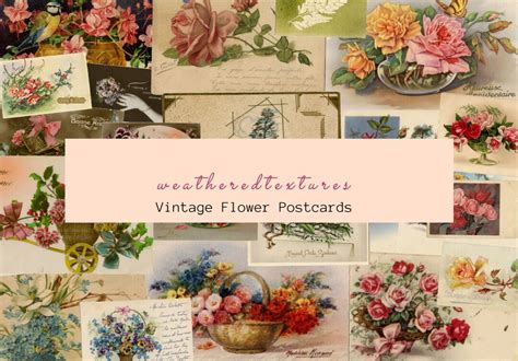 Vintage Floral Postcards Flowers Postcards Vintage French Etsy