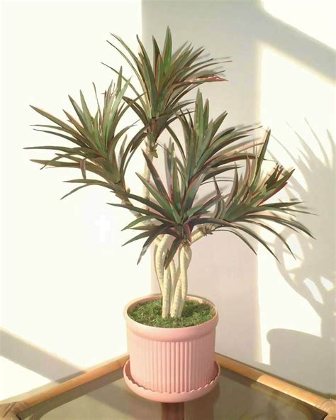 Neuhaus Decor 2ft Yucca Palm Artificial Tree Without Pot