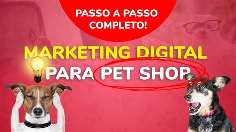 Como Fazer Marketing Digital Para Pet Shop Com Estrat Gias Que