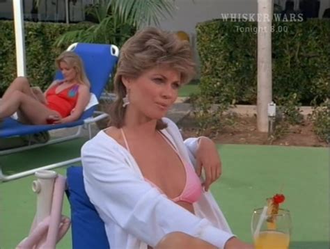 Pin By David Manlio On Markie Post Markie Post The Fall Guy Post