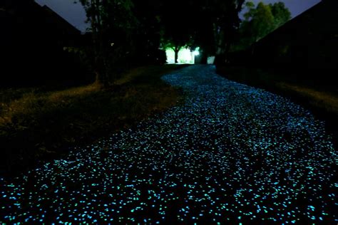 How To Make A Glow In The Dark Path Or Driveway Simplemost Glow