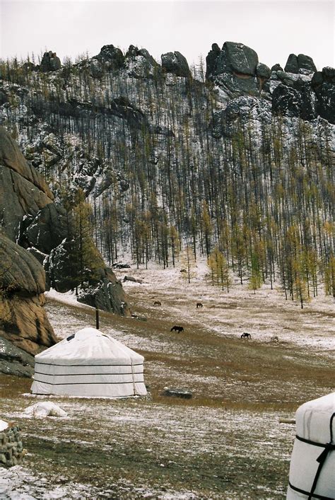 You can jump to a separate table for each section of the country: Mongolia - in the snow | Asia travel, Mongolia, Countries ...