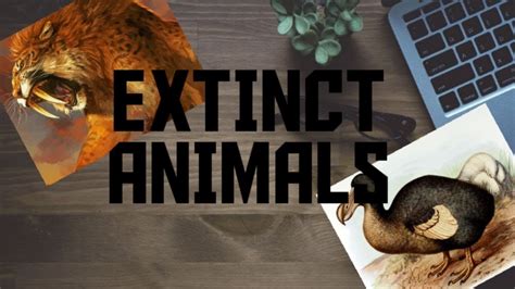 Extinct Animals Youtube