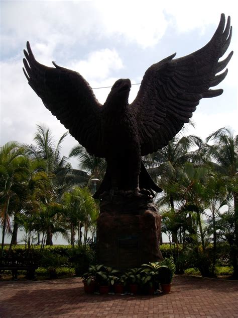 Jhekos Area Mengenal Burung Garuda