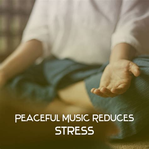 Peaceful Music Reduces Stress Healing Meditation Stress Relief