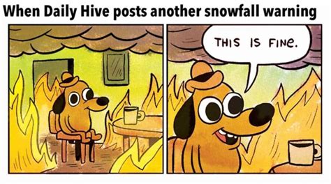 Vancouvers Snow Struggles Summed Up In Memes Photos News