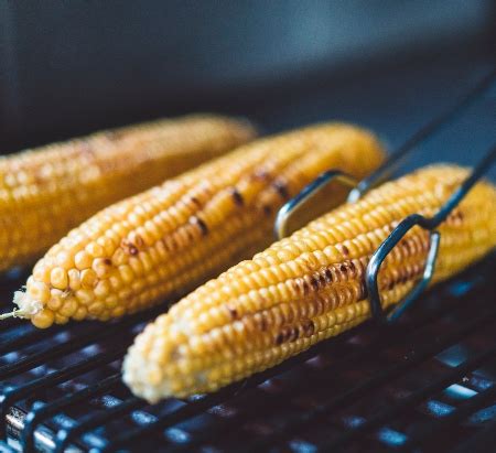 Épi de maïs grillé comment les cuisiner au mieux
