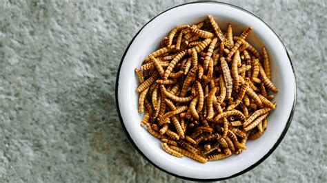 Eating Worms Nutrients Safety And More